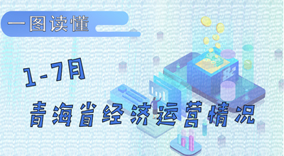 穩(wěn)中向好！一圖看懂青海省1-7月經(jīng)濟(jì)運(yùn)行情況