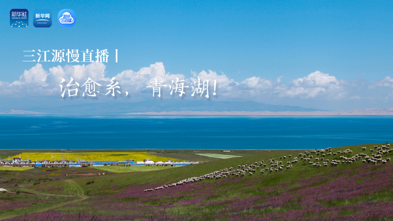 三江源慢直播丨治愈系，青海湖！
